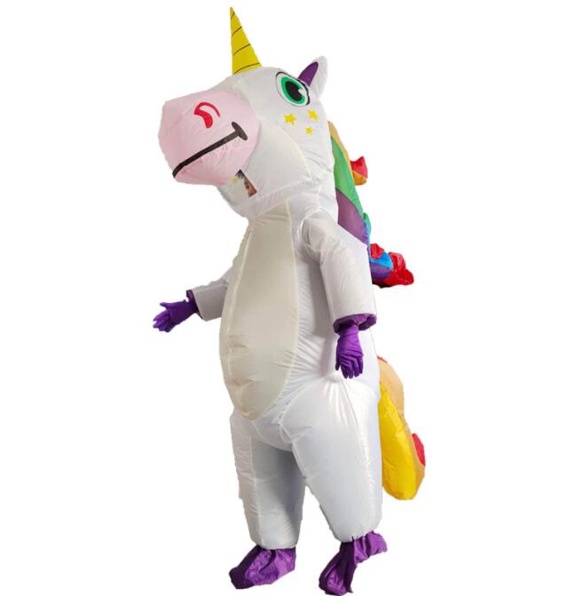 COSTUME LICORNE EVJF 2